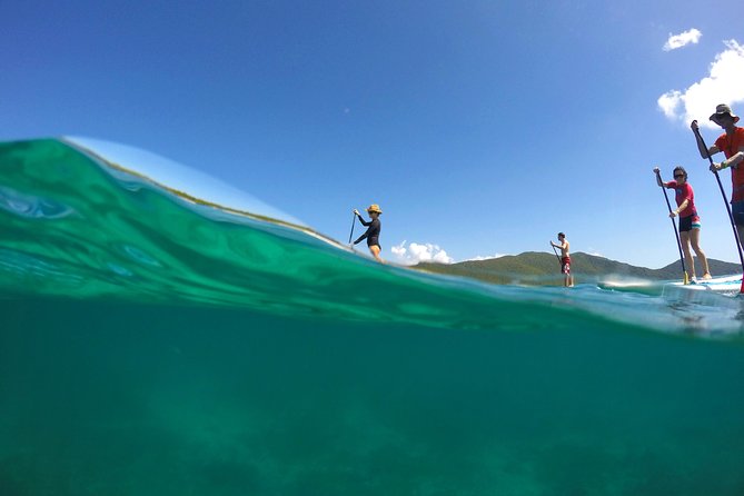 Magic Mangrove Paddle in Beef Island Lagoon - Getting started on a kayak or paddleboard