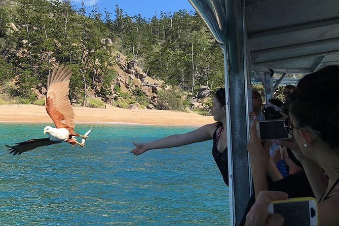 Magnetic Island Discovery Tour with Snorkeling & Paddle Boarding - How the tour handles families and different abilities