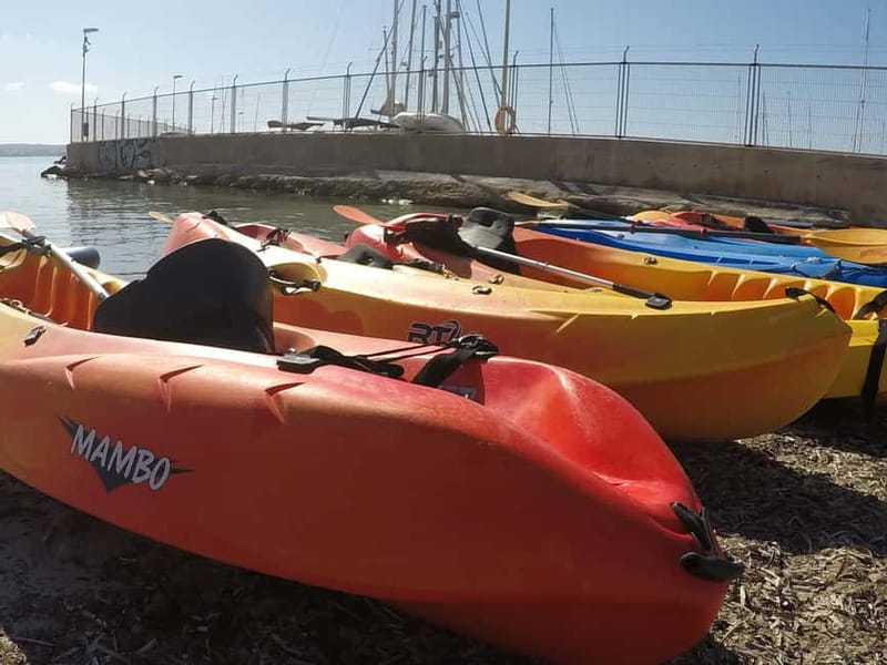 Mallorca: Kayak Rental - Swimming, snorkeling, and Palma views