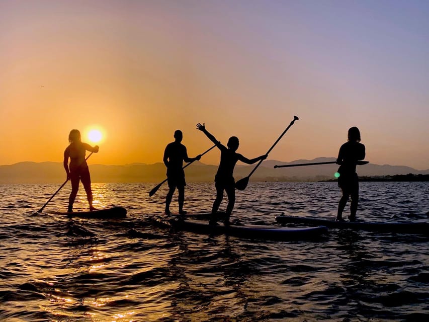 Mallorca: Kayak Sunset Tour from Ca'n Pastilla Beach - Choosing a kayak or stand-up paddle board