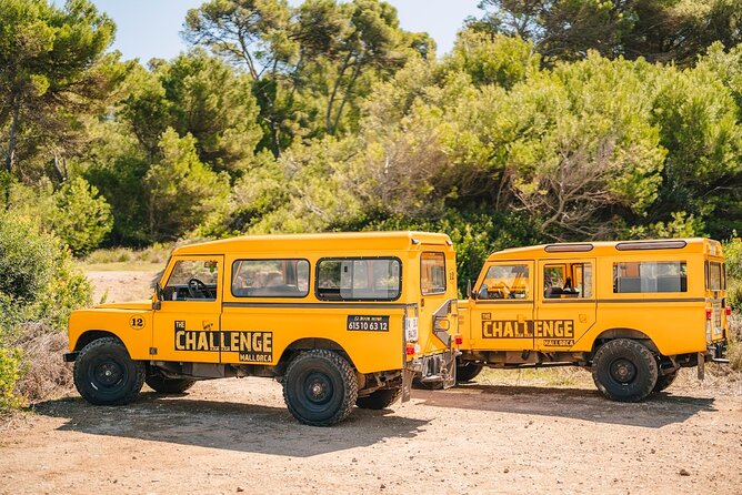 Mallorca: Kayaking, Sea Cave, Cliff Jumping & Snorkel Tour - Paddling Along Mallorca’s Clear Coast