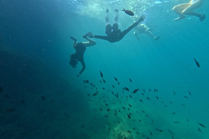 Mallorca: Kayaking, Sea Cave, Cliff Jumping & Snorkel Tour - Snorkeling for the Sunken Treasure