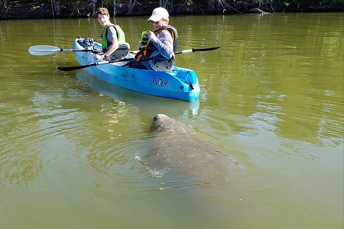 Manatee and Dolphin Kayaking | Wildlife Refuge (Titusville) - Haulover Canal is the real beginning of the tour