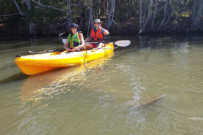 Manatee and Dolphin Kayaking | Wildlife Refuge (Titusville) - Meeting manatees in the canal