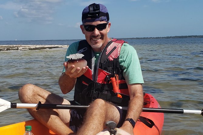 Manatee and Dolphin Kayaking | Wildlife Refuge (Titusville) - What the $60 price really covers
