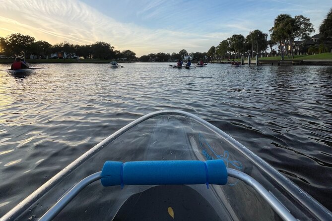 Manatee Season Clear Kayak Tour of Tarpon Springs - Key points to know before you paddle
