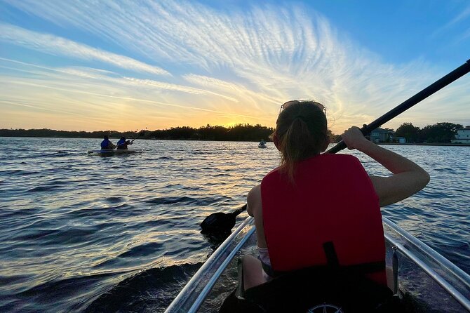 Manatee Season Clear Kayak Tour of Tarpon Springs - Why this Tarpon Springs paddle is more than a manatee search
