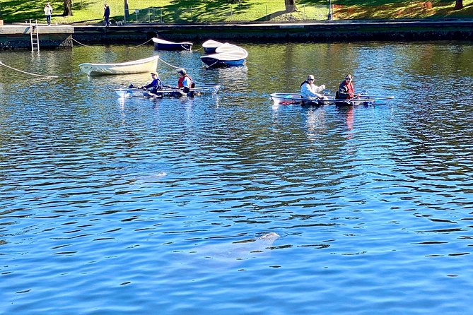 Manatee Season Clear Kayak Tour of Tarpon Springs - Price, timing, and practical value