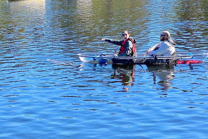 Manatee Season Clear Kayak Tour of Tarpon Springs - Who will enjoy this tour most