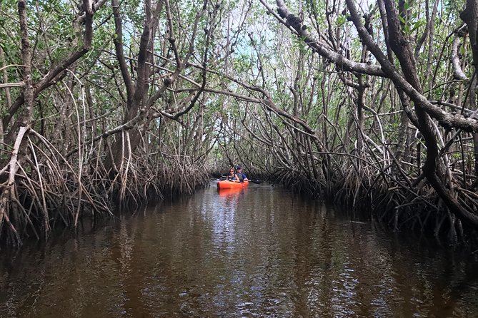 Manatees and Mangrove Tunnels Small Group Kayak Tour - Is $95 a fair price?