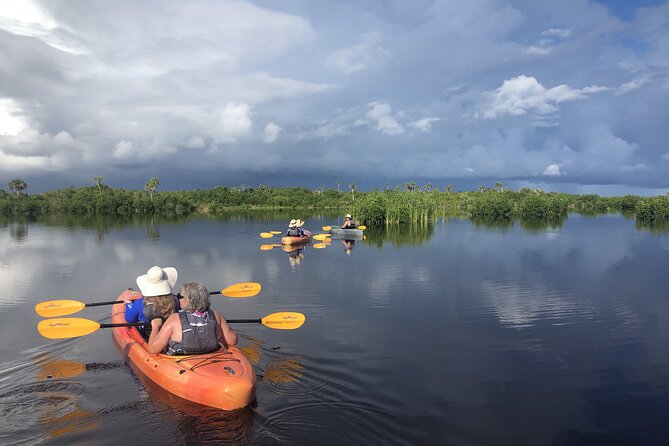 Manatees and Mangrove Tunnels Small Group Kayak Tour - How the three-hour route works