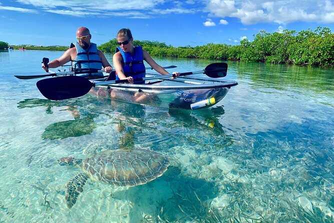 Mangrove Clear Kayak Tour - Key points to know before booking