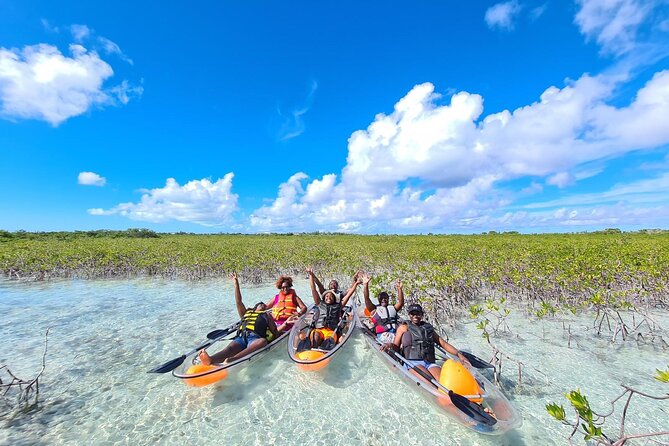 Mangrove Clear Kayak Tour - Is $125 a fair price?