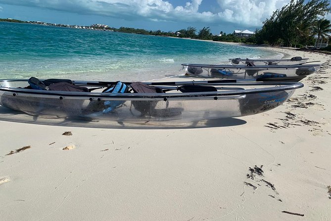 Mangrove & Iguana Clear Kayak Tour - The ride to the mangroves