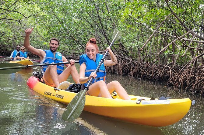 Mangrove Jungle Exploration on SUP/Kayak - The wildlife you might see along the way