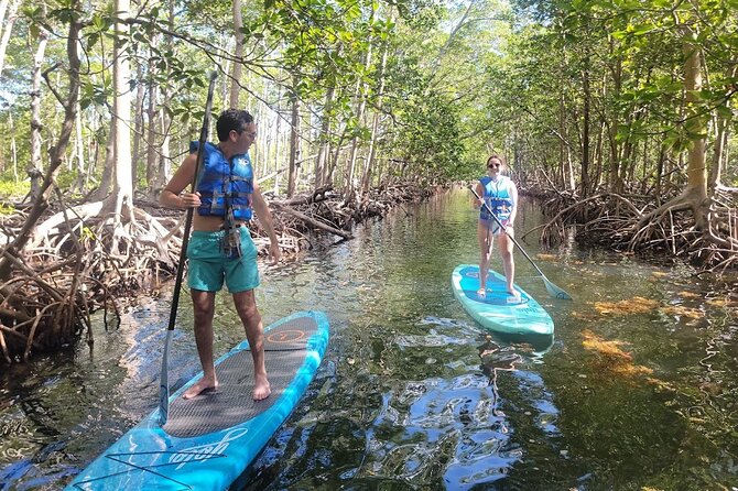 Mangrove Jungle Exploration on SUP/Kayak - What happens on Raccoon Island