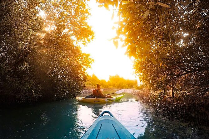 Mangrove Kayaking Abu Dhabi - Key points to know before you paddle
