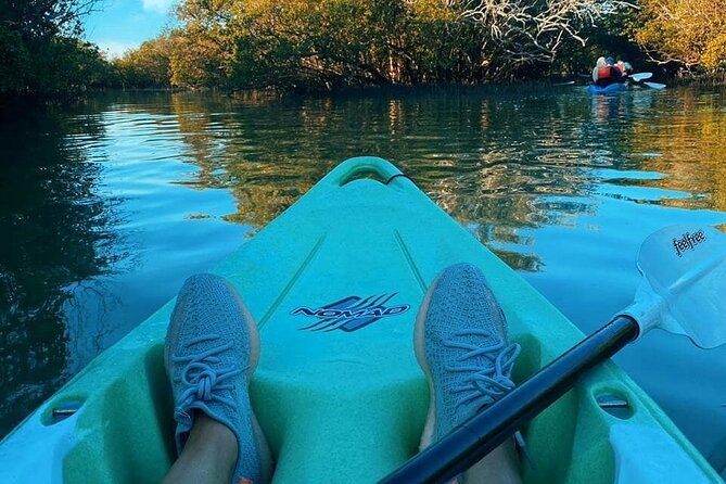 Mangrove Kayaking Abu Dhabi - Paddling through the mangrove canals