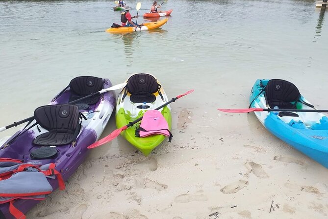 Mangrove Kayaking Abu Dhabi - Reem Island Central Park versus Eastern Mangroves