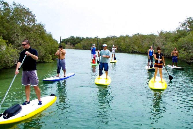 Mangrove Kayaking Abu Dhabi - Timing your Abu Dhabi kayaking trip