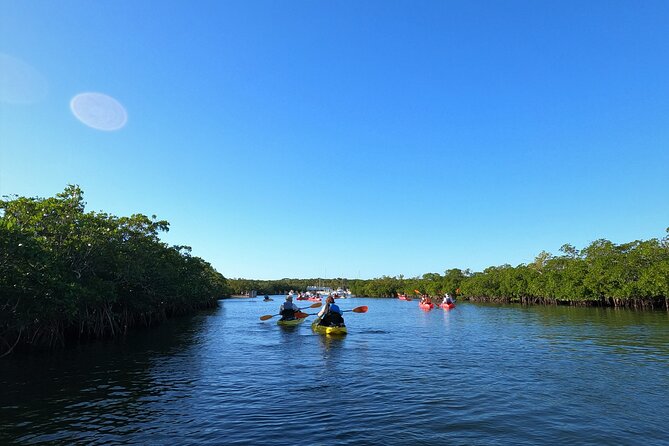 Mangrove Tunnel Kayak Adventure in Key Largo - Who will enjoy this most?