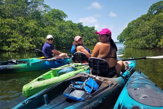 Mangrove Tunnel Kayak Adventure in Key Largo - What the three-hour route feels like
