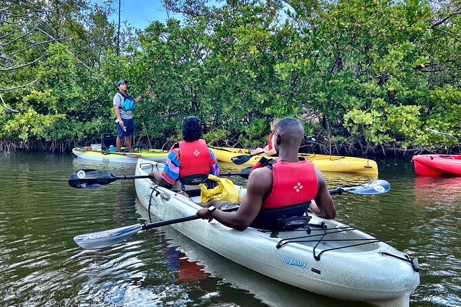 Mangrove Tunnel Kayak Eco Tour - Why the mangrove tunnels make this Fort Lauderdale tour special