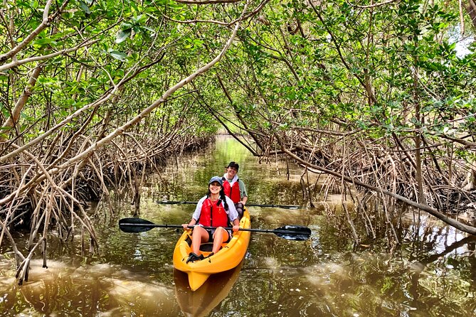 Mangrove Tunnel Kayak Eco Tour - What the guide adds to the experience