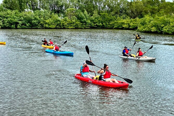 Mangrove Tunnel Kayak Eco Tour - Timing, reservations, and the practical details