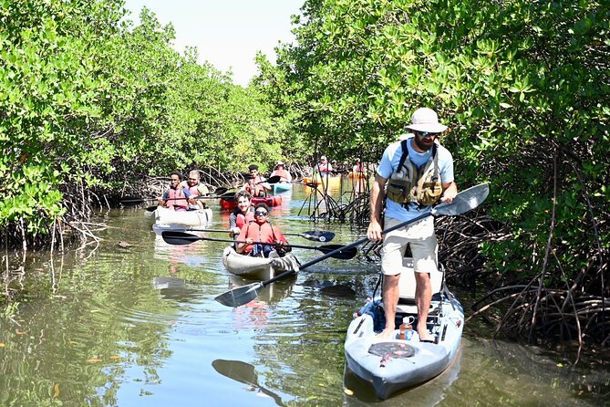 Mangrove Tunnel Kayak Eco Tour - Families, first-time kayakers, and nature-minded adults