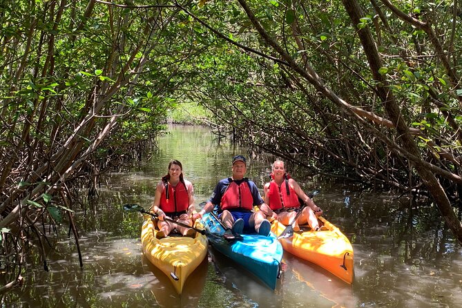 Mangrove Tunnel Kayak Eco Tour - Starting in a sheltered cove at West Lake Park