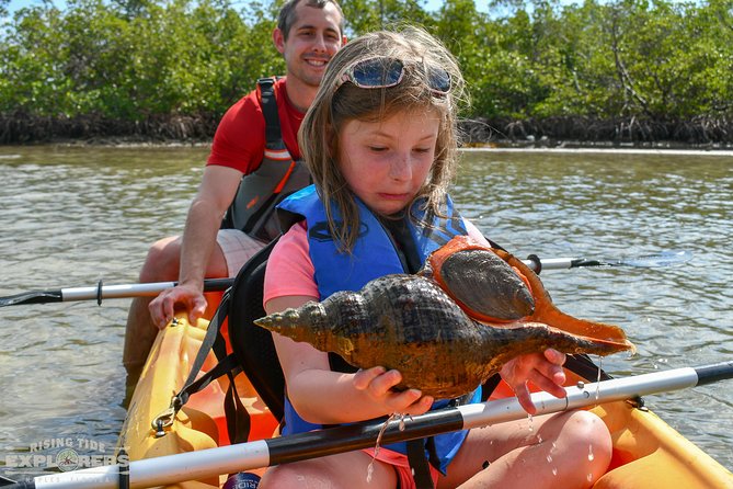 Mangrove Tunnels & Mudflats Kayak Tour - Local Biologist Guides - Launching at Isle of Capri Paddlecraft Park