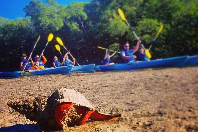 Mangrove Tunnels & Mudflats Kayak Tour - Local Biologist Guides - A useful second stop at the learning center