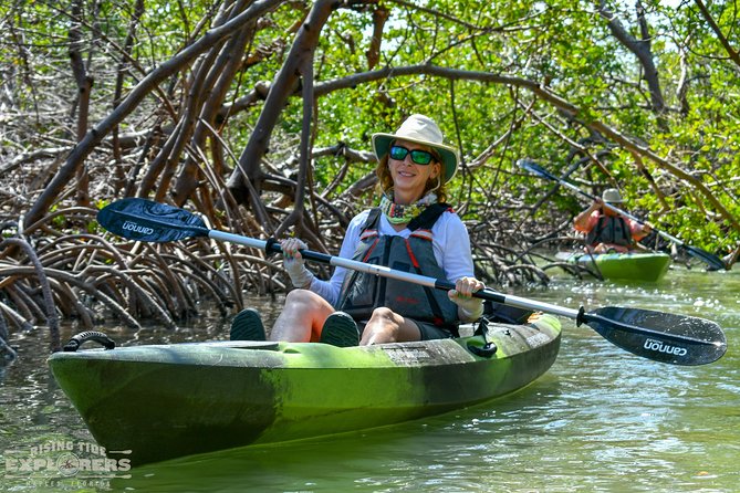 Mangrove Tunnels & Mudflats Kayak Tour - Local Biologist Guides - What you will see from the kayak