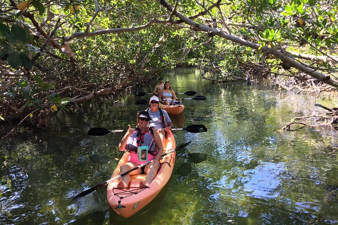 Mangroves and Manatees - Guided Kayak Eco Tour - Key points to know before you book