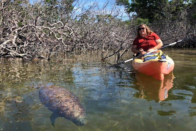 Mangroves and Manatees - Guided Kayak Eco Tour - Guides who shape the experience
