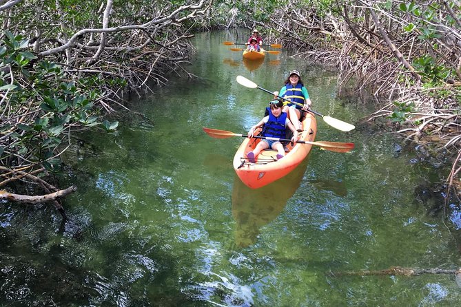 Mangroves and Manatees - Guided Kayak Eco Tour - How difficult is the paddling?
