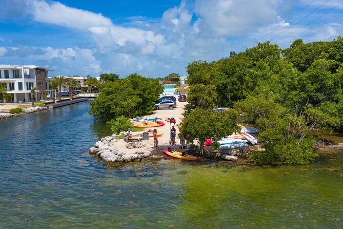 Mangroves and Manatees - Guided Kayak Eco Tour - Price, timing, and what you get for $69