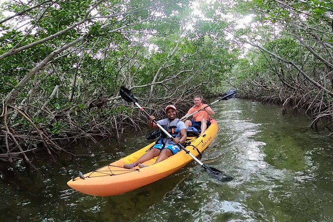 Mangroves and Manatees - Guided Kayak Eco Tour - Meeting point and cancellation details