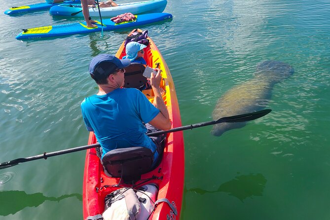 Mangroves, Manatees, and a Hidden Beach: Kayak Tour - Key points to know before you book