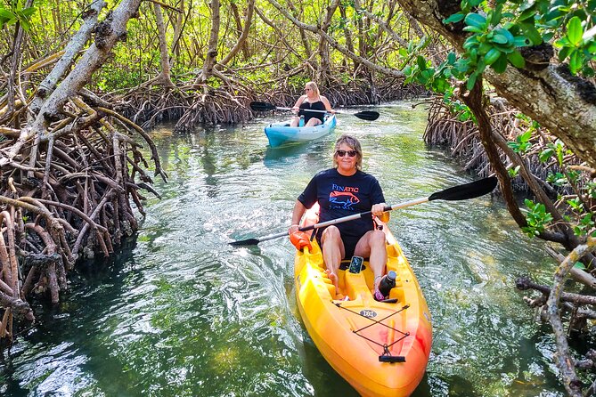Mangroves, Manatees, and a Hidden Beach: Kayak Tour - Through the Jim Neville Preserve
