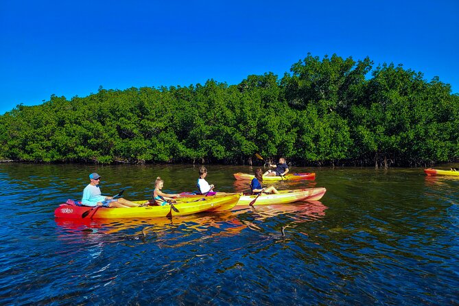 Mangroves, Manatees, and a Hidden Beach: Kayak Tour - The Midnight Pass beach break