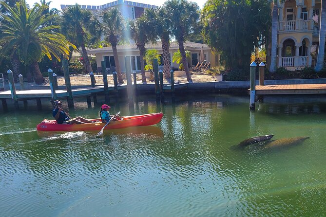 Mangroves, Manatees, and a Hidden Beach: Kayak Tour - Who should book this Sarasota tour?