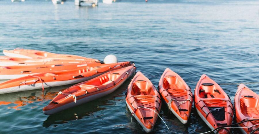 Manly: Mini Kayak Tour on Sydney's North Harbour - Why North Harbour works so well by kayak