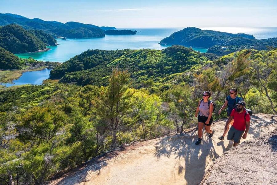 Marahau: Abel Tasman Kayaks Kayak and Walk - Why this southern Abel Tasman day works so well