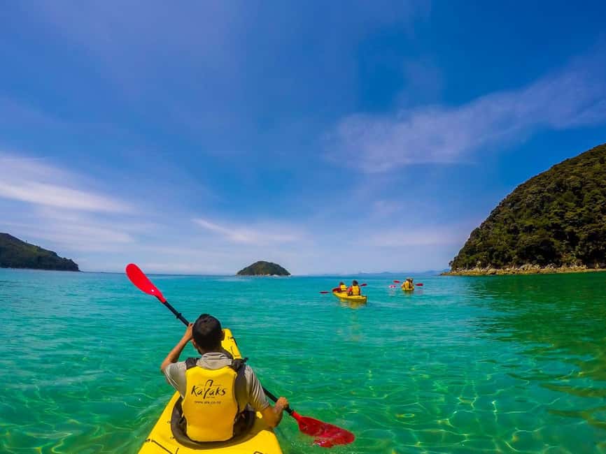 Marahau: Abel Tasman Kayaks Kayak and Walk - Seals and the marine reserve