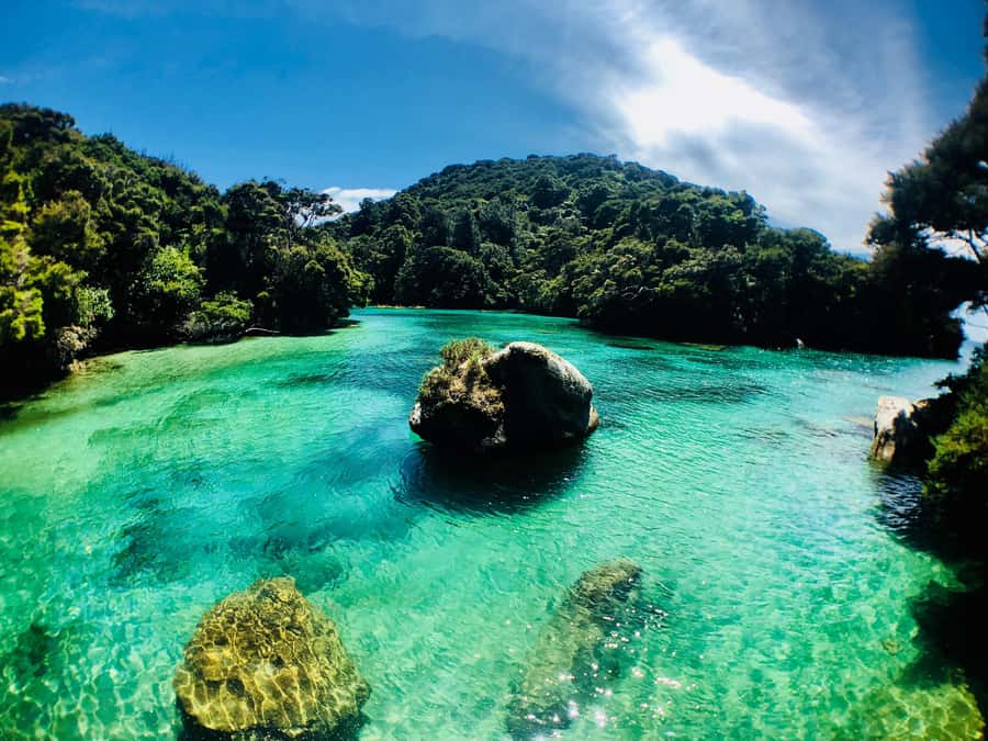 Mārahau: Abel Tasman Marine Reserve Kayak Tour - What makes the Tonga Island route special