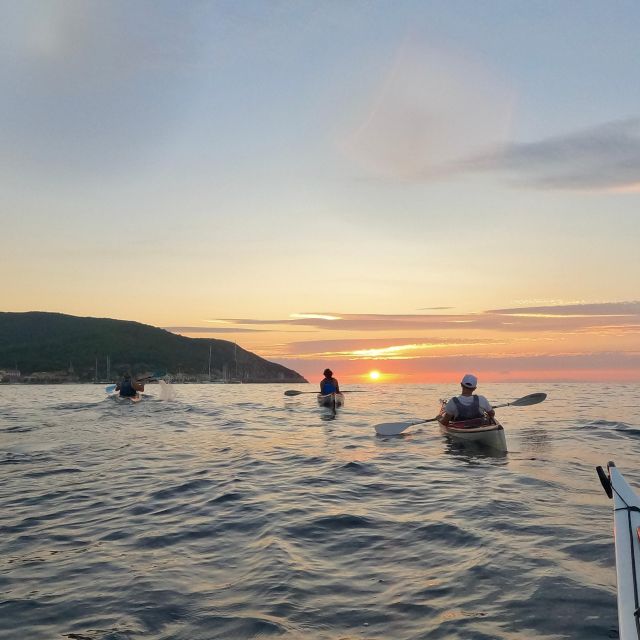 Marciana Marina: Evening Sea Kayaking Tour with Swim Stop - Key points at a glance