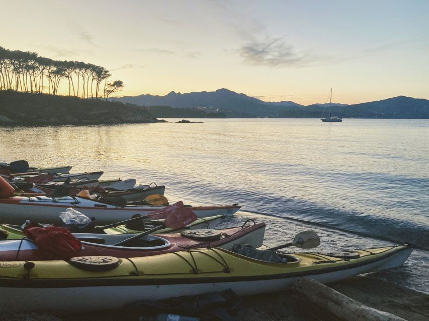 Marciana Marina: Evening Sea Kayaking Tour with Swim Stop - Paddling beside Paolina Island