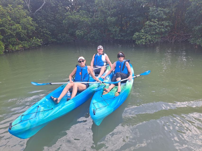 Marco Island: Kayak Mangrove Ecotour in Rookery Bay Reserve - Key points to know before you paddle